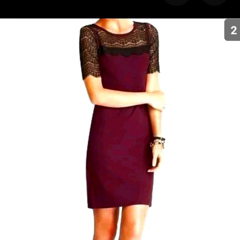 Anne Taylor burgundy dress with lace sleeve, size medium